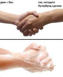 502x604