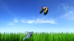 640x360