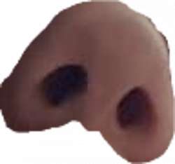 300x281