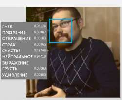 520x429