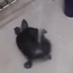 360x360