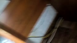 500x280