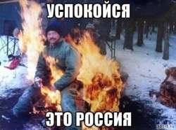 590x439
