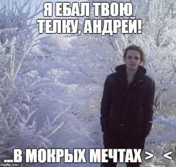 524x500
