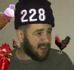 486x459