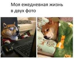 1080x868