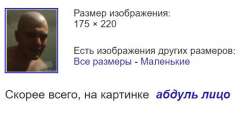 529x241