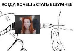 660x460