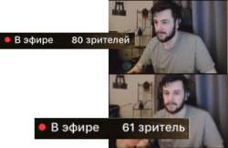 800x519