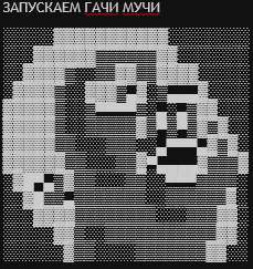 229x243