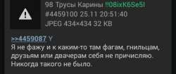 480x202