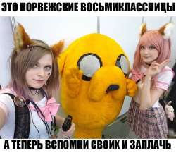 1080x938