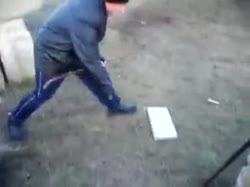 320x240