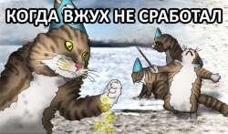 600x354