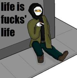 432x433