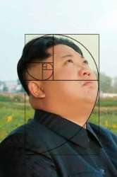 313x470