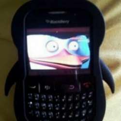 288x288