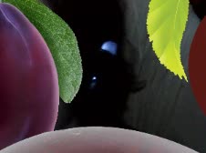 226x168