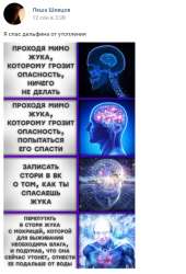 526x772
