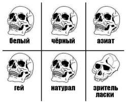 662x542