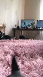 640x1136