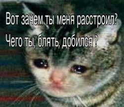 400x346