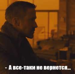 493x488