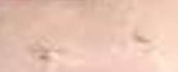 883x362