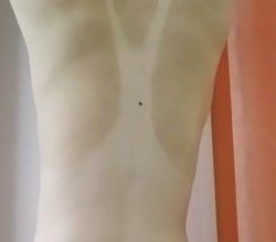 610x536