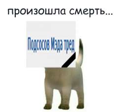 600x546
