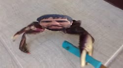 640x360