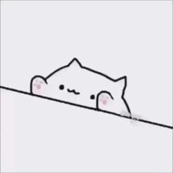 500x500