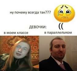 524x490