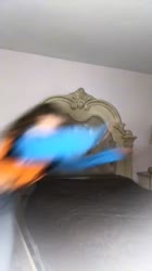 540x960