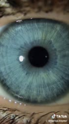 540x960