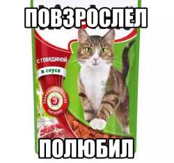 720x678
