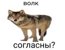 924x720