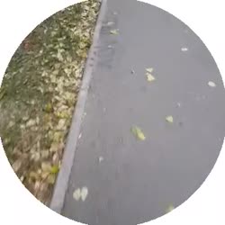 320x320