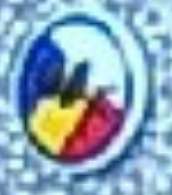 172x195