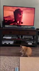268x480