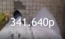 619x372