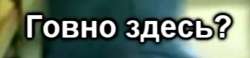 586x136