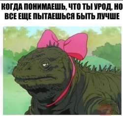 714x676