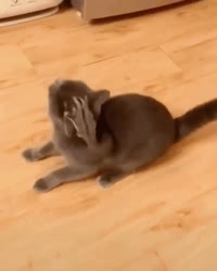 320x400
