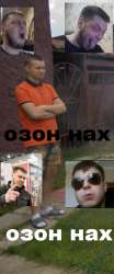 349x831