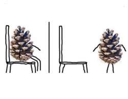 600x465