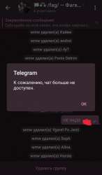 749x1280