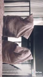 540x960