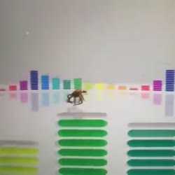 360x360