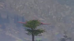 640x360